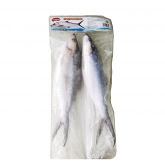 MILK FISH(2P)